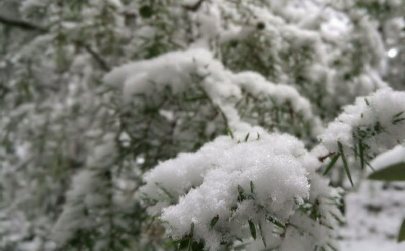 Allerta neve in Sardegna, precipitazioni fino a 600 metri