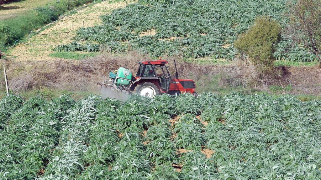 Agricoltura L Assessore Murgia Da Argea Pagamenti Per Quasi 62 Milioni Di Euro E 14mila Domande