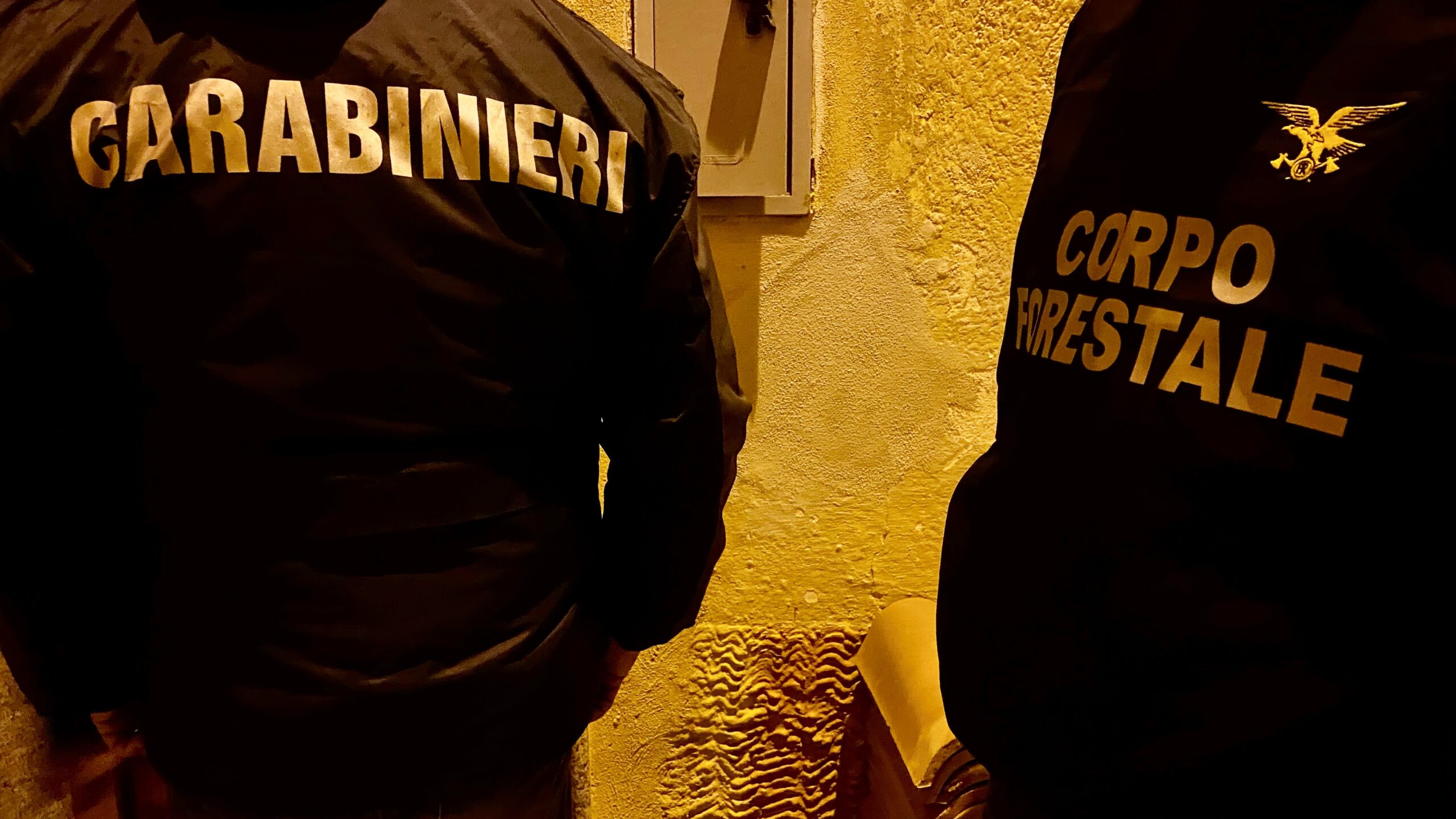 Spaccio di stupefacenti, armi clandestine, incendi, furti aggravati. Misure cautelari eseguite dai Carabinieri in Baronia