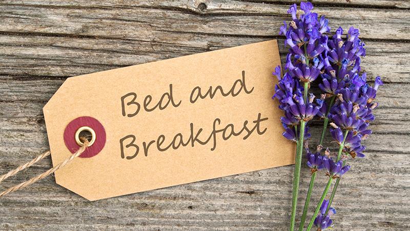 Bed-and-breakfast.it chiude il 2024 con 280.000 prenotazioni e annuncia i trend di viaggio del 2025