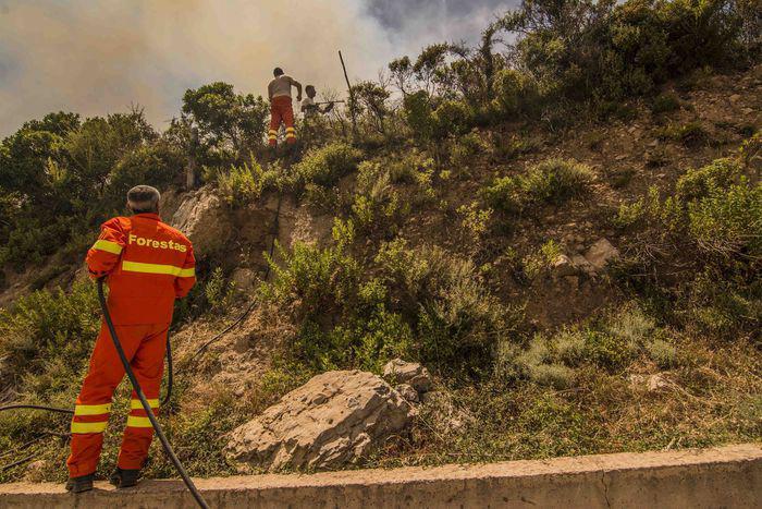 Forestas, la verità dello SNAF sui trent’anni di precariato